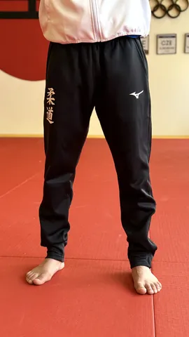 lightbox_images/mobile/mobile_mizuno-teplaky-front.webp